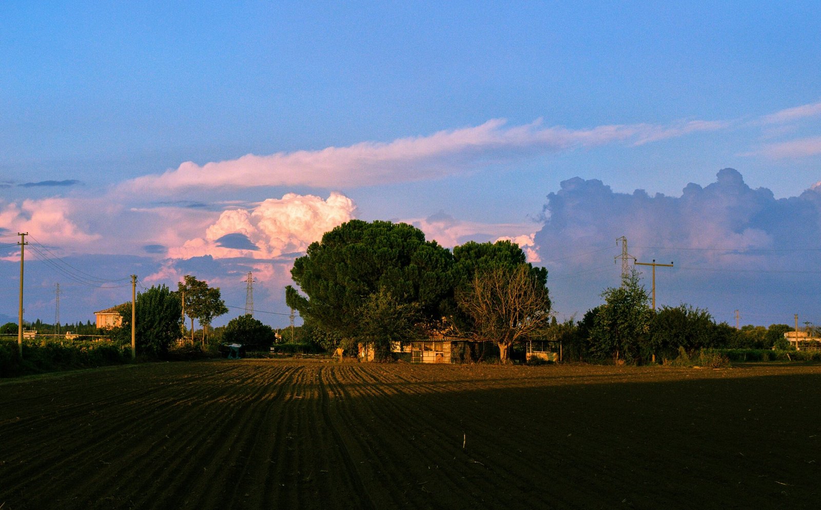 green trees under white clouds and blue sky during daytime